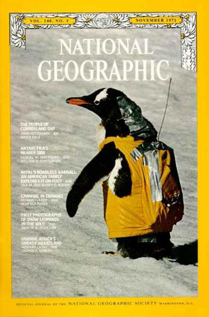 Журналу National Geographic виповнилося 125 років. Перший номер журналу National Geographic вийшов у жовтні 1888 року, через дев'ять місяців після заснування Національного географічного товариства США , ім'я якого він і носить.
