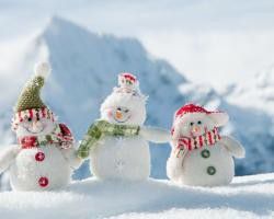  Всесвітній день снігу - 19 січня. 19 січня 2013 в усьому світі відзначали день снігу. З ініціативи Міжнародної федерації лижного спорту з минулого року відзначають нове свято: Всесвітній день снігу. У наступаючому сезоні датою його проведення обрано неділю 19 січня 2014