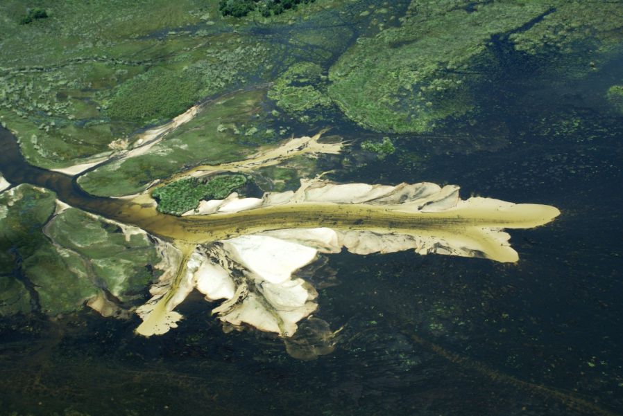 Вісім особливо цінних водно-болотних угідь Землі. 