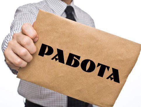 Ким працюють українці за кордоном: від водія лунапарка до робітника на норковій фермі