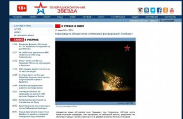 На допиті російський журналіст розповів, як брехав про події в Україні (відео)