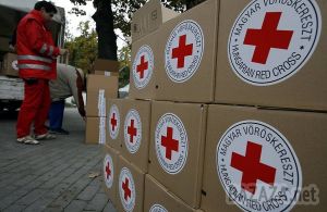 РФ відправляє гуманітарну допомогу в Донбас і просить посприяти в цьому Україну. МЗС Росії просить МЗС України надати сприяння в здійсненні гуманітарної акції і визначитися з маршрутом прямування автомобільної колони по території України.