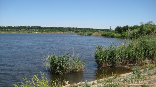 У водоймі Донецької області виявлено черговий труп зі слідами тортур - МВС. Причина смерті встановлюється. Прикмети: на вигляд 25-45 років, зріст 165 см, волосся темне коротке, обличчя кругле. На трупі надіто: сірі шкарпетки, джинсові бриджі синього кольору, світла футболка. 