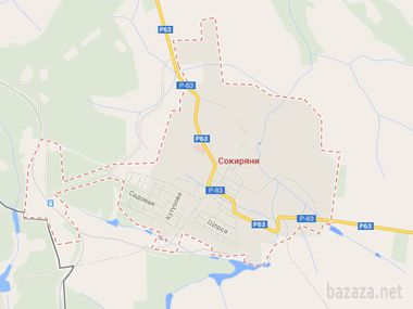 Жінки з дітьми перекрили дорогу на Чернівці, виступаючи проти мобілізації в зону АТО. Поки на місці події немає представників правоохоронних органів, рух транспорту заблоковано.