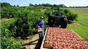 Росія відповіла на санкції забороною ввезення продуктів. Президент Росії Володимир Путін підписав указ про застосування спеціальних економічних заходів "з метою захисту національних інтересів країни.