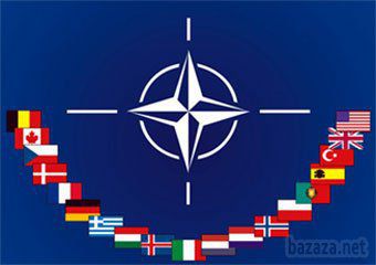 Країни НАТО мають самостійно ухвалити рішення про надання військової допомоги Україні. Країни члени Північно-Атлантичного альянсу мають самостійно ухвалити рішення про надання чи не надання військової допомоги Україні, НАТО як структура не втручатиметься в цей процес.