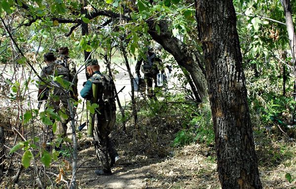 Нічия земля. Один день з життя розвідника в зоні АТО. Репортаж військового інженера Олександра Шульмана, який побував у розвідці поблизу селищ Металіст і Олександрівськ Луганської області