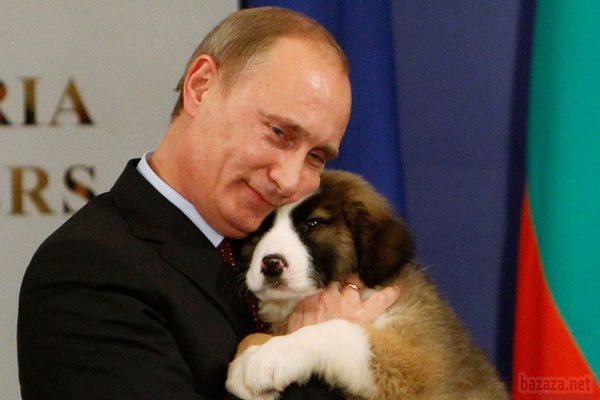 Карпатська чаклунка озвучила пророцтво для Путіна і України. Знімальна група проекту "Цивільна оборона" на телеканалі ICTV знайшли в Прикарпатті провидицю, яка розповіла про долю президента Росії Володимира Путіна