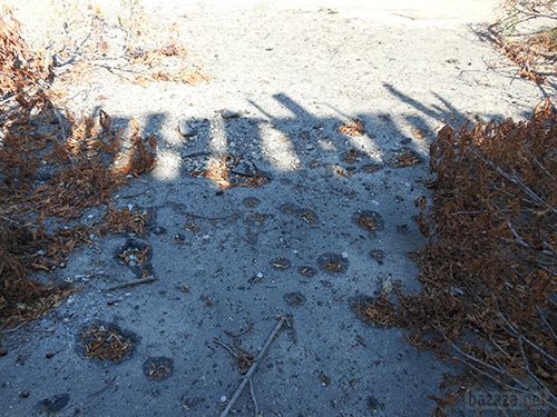 Луганськ зруйнований. Фото. 21.09.2014. Станом на ранок 21 вересня в Луганську спокійно. Ніч пройшла тихо. В місті ще зберігаються проблеми зі зв'язком, електроенергією, водою.