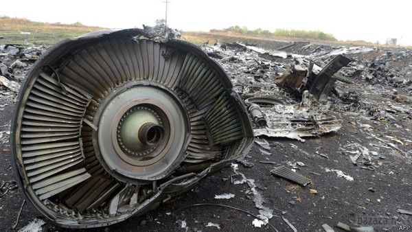 Сім'ї жертв аварії MH-17 подадуть в суд на Україну. Родичі громадян Німеччини, які загинули 17 липня в авіакатастрофі Boeing MH-17 під Донецьком, мають намір подати в суд на український уряд і президента. 