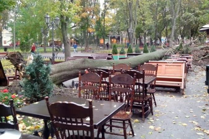 В Одеській області вирує стихія: шквальний вітер валить дерева. Негода протримається в регіоні всі вихідні.