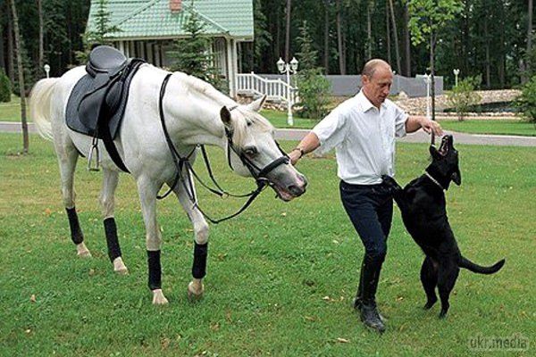 Путін наказав вирубати ліс навколо резиденції.  " таке враження, ніби територію тільки що розбомбили переважаючі сили противника ". Замість могутнього лісу з беріз і сосен навколо резиденції російського президента тепер лише розкидана земля і сотні свіжих пнів.