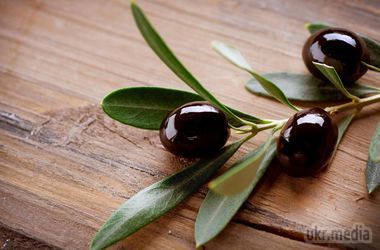Святкуємо день оливкового дерева з користю для здоров'я. Маслини вбивають мікроби, борються зі зморшками і стають окрасою для салатів і піци