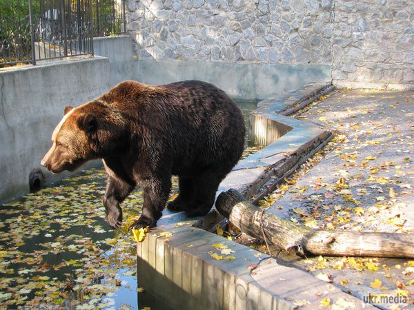 Прогулянка по Харківському зоопарку. У найстарішому в Україні зоопарку є унікальний ставок, який не замерзає взимку і "слон", що виконує бажання за монету