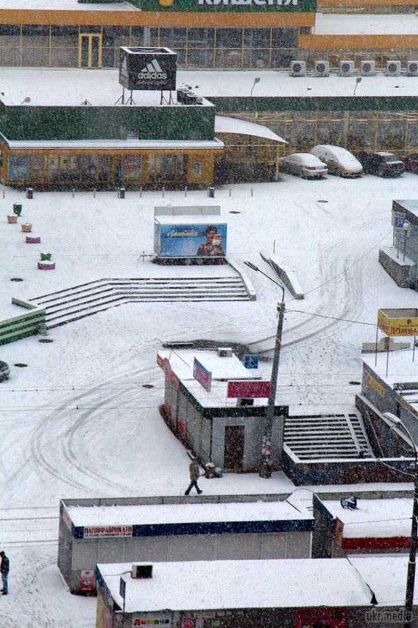 В Києві випав перший сніг. Мешканці та гості столиці, вийшовши на вулицю, побачили білі дороги і дерева.