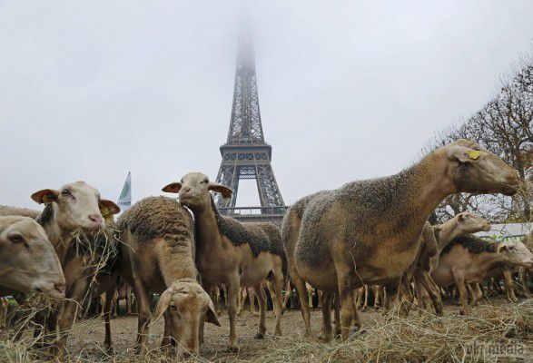 Тиждень у фотографіях (23.11 - 29.11). Події, якими запам'ятався минулий тиждень у фотографіях.