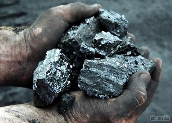 Україна почала купувати вугілля у Польщі. Посол Польщі в Україні Генрік Литвин повідомив, що його країна почала постачати вугілля українським регіональним споживачам. 