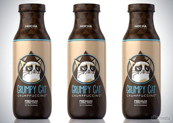 Знаменита Grumpy Cat заробила 100 млн $. Тим не менш, навіть сума, що перевищує гонорари таких голлівудських зірок, як Меттью Макконахі, Ніколь Кідман або Кемерон Діас, так і не змусила "Сердиту кішку" посміхнутися. 