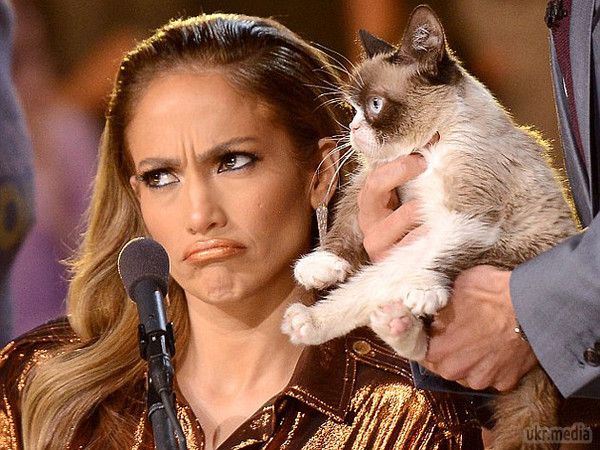 Знаменита Grumpy Cat заробила 100 млн $. Тим не менш, навіть сума, що перевищує гонорари таких голлівудських зірок, як Меттью Макконахі, Ніколь Кідман або Кемерон Діас, так і не змусила "Сердиту кішку" посміхнутися. 
