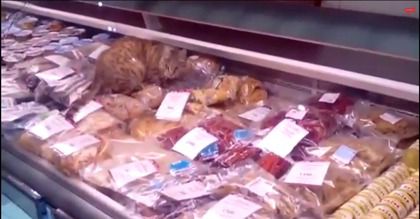 Жителі Владивостока занепокоїлися долею кота-гурмана. Жителі Владивостока розшукують кота, який в аеропорту Владивостока з'їв морські делікатеси на 60 тисяч рублів. 