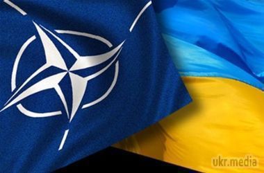 США визнають, що Україні для членства в НАТО потрібен час. Сполучені Штати разом з партнерами по НАТО продовжать працювати з Україною