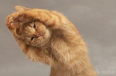 Як ви думаєте чим корисна уявна зарядка ?. Думки про вправи приносять реальний результат