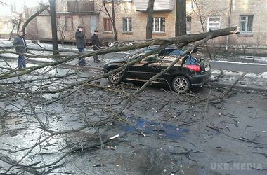 У Києві ламалися дахи і падали дерева. Києву та області оголосили штормове попередження. Очікують пориви вітру до 20 м/с і ожеледь