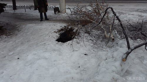 Місто Стаханов після обстрілу (фото). Вчора, 23 січня було обстріляне місто Стаханов Луганської області. 