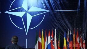 Україна не подавала заявку на вступ в Альянс НАТО. Директор інформаційного бюро НАТО в Москві Роберт Пшель заявив, що Україна не подавала заявку на вступ до НАТО.