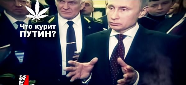 Користувачі YouTube висміяли висловлювання Путіна про «натовський  легіон». Відразу після заяви президента Росії Володимира Путіна про те, що українська армія - це «натовський легіон» на YouTube опублікували пародію, яка за два дні зібрала чверть мільйона переглядів.