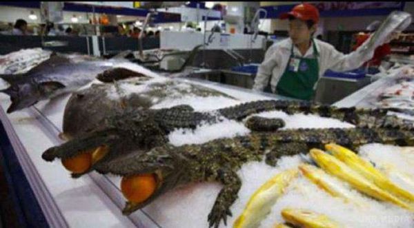 Що продається в китайських супермаркетах: свіжозаморожені крокодили, живі жаби й акули (фото). Супермаркети вражають своїми розмірами і асортиментом