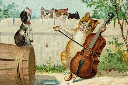 На основі нявкання вчені створили спеціальну музику для кішок. Американські вчені створили першу в світі музику, спеціально налаштовану на слух кішок - на основі їх же власних звуків. Ритм цих композицій наслідує муркотіння, а мелодії - нявчанням на високій частоті. 