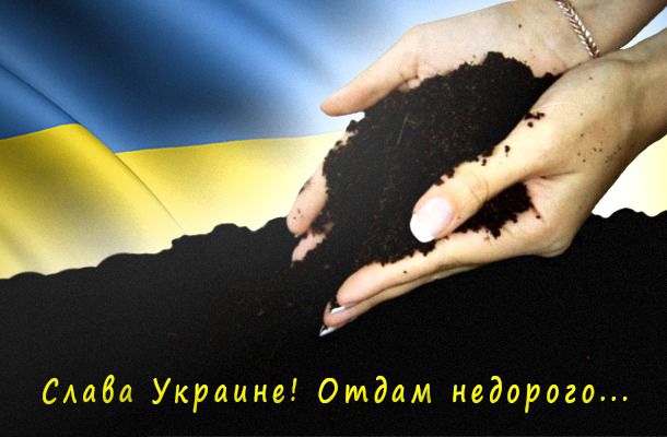 США оголосило великий розпродаж України. Громадянка США міністр фінансів України Наталія Яресько заявила про початок розширеної приватизації решти державних підприємств.