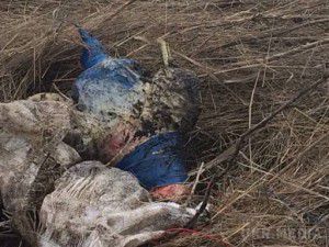 Карта АТО станом на 13 березня. Ситуація на сході країни (карта АТО) станом на 12:00 13 березня 2015 року за даними РНБО України.