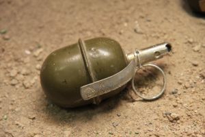 У Печерському районі Києва знайшли шість гранат. На одному із сміттезвалищ у Печерському районі Києва 66-річний чоловік знайшов пакет із шістьма гранатами. 