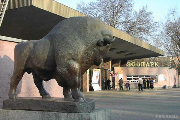 7 мільйонів розікрали у київському зоопарку . Фінансових порушень на таку суму виявили під час аудиту звіринця за 2014 рік.