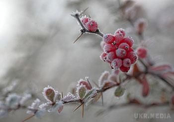 Прогноз погоди на 31 березня: часом дощі, місцями з мокрим снігом. У найближчу добу українців поки що не очікує поліпшення погодних умов.