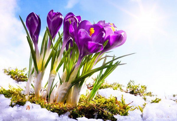 Прогноз погоди в Україні на 4 квітня: дощ, мокрий сніг та похолодання. На жаль прогноз погоди українців не порадує: на суботу синоптики обіцяють дощ, мокрий сніг та нічні заморозки.