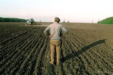 Україна заборонила аграріям закуповувати добрива в Росії, а своїх немає. Війна в Донбасі і криза у відносинах з РФ боляче вдарила по українським аграріям не тільки дорожнечею, але і дефіцитом мінеральних добрив.