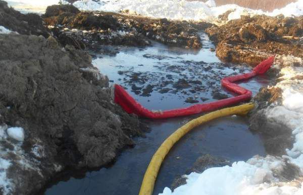Витік нафти на Сахаліні - екологію забруднюють кілька тонн. Екологи оцінюють обсяг розлитої нафти мінімум в кілька тонн, тоді як в Роснефти говорять про приблизно 200 літрів.