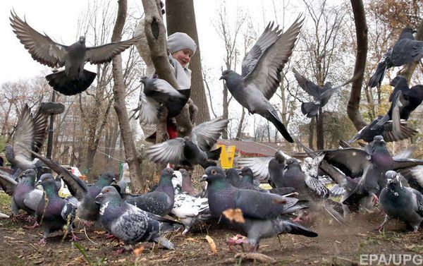 Зміни у Сімейному кодексі -  Верховна Рада. Скоро в Україні може змінитися Сімейний кодекс