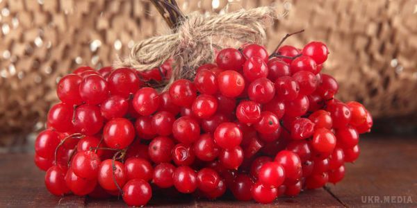 Калина допоможе в лікуванні пігментних плям. Регулярні протирання соком калини допоможуть знебарвити плями і тримати шкіру в тонусі.