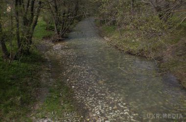  Тіло чоловіка, який разом з 2-річним онуком зник в лісі, знайшли у Криму. Дитину не знайшли