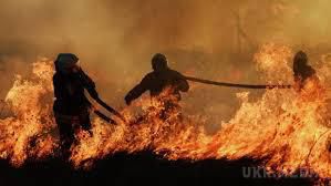 Пожежа в Сибіру вирує вже на Китайській землі. Площа загоряння збільшилася в півтора рази