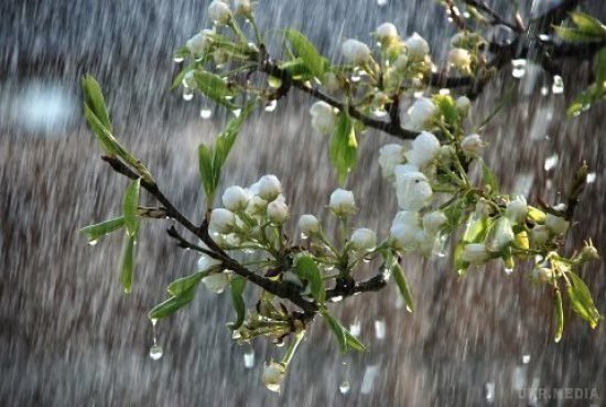Прогноз погоди в Україні на 15 квітня: синоптики передають зливи, пориви вітру. У найближчу добу по всій території України очікується погіршення погодних умов.