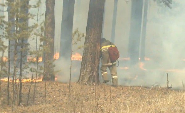 За добу території охоплені пожежею в Сибіру збільшилися в 4 рази. Станом на ранок сьогоднішнього дня, площа лісових пожеж в Сибіру (РФ), становить 58 189,8 тис. га, де діє 156 лісових пожеж. 