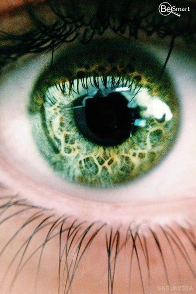 Яким є найрідкісніший колір очей. Не дарма Славко Вакарчук написав пісню саме про зелені очі.