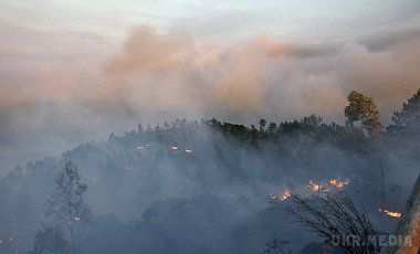 За добу в Забайкаллі площа пожеж збільшилася вдвічі (відео). Площа лісових пожеж в Забайкальському краї за добу збільшилася майже в два рази - з 57 до 104 тис га. 