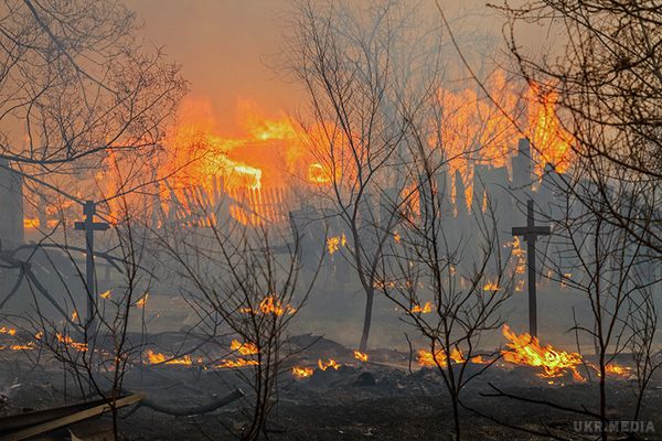 Пожежі в Сибірі поширюються. За офіційними даними в окрузі діють 115 лісових пожеж