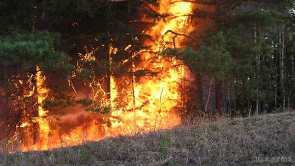 Понад 110 тис га лісу горить у Забайкаллі. Ліс горить у 16 районах Забайкальського краю, найбільша кількість - 28 вогнищ.